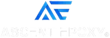Ascent Epoxy Miami logo
