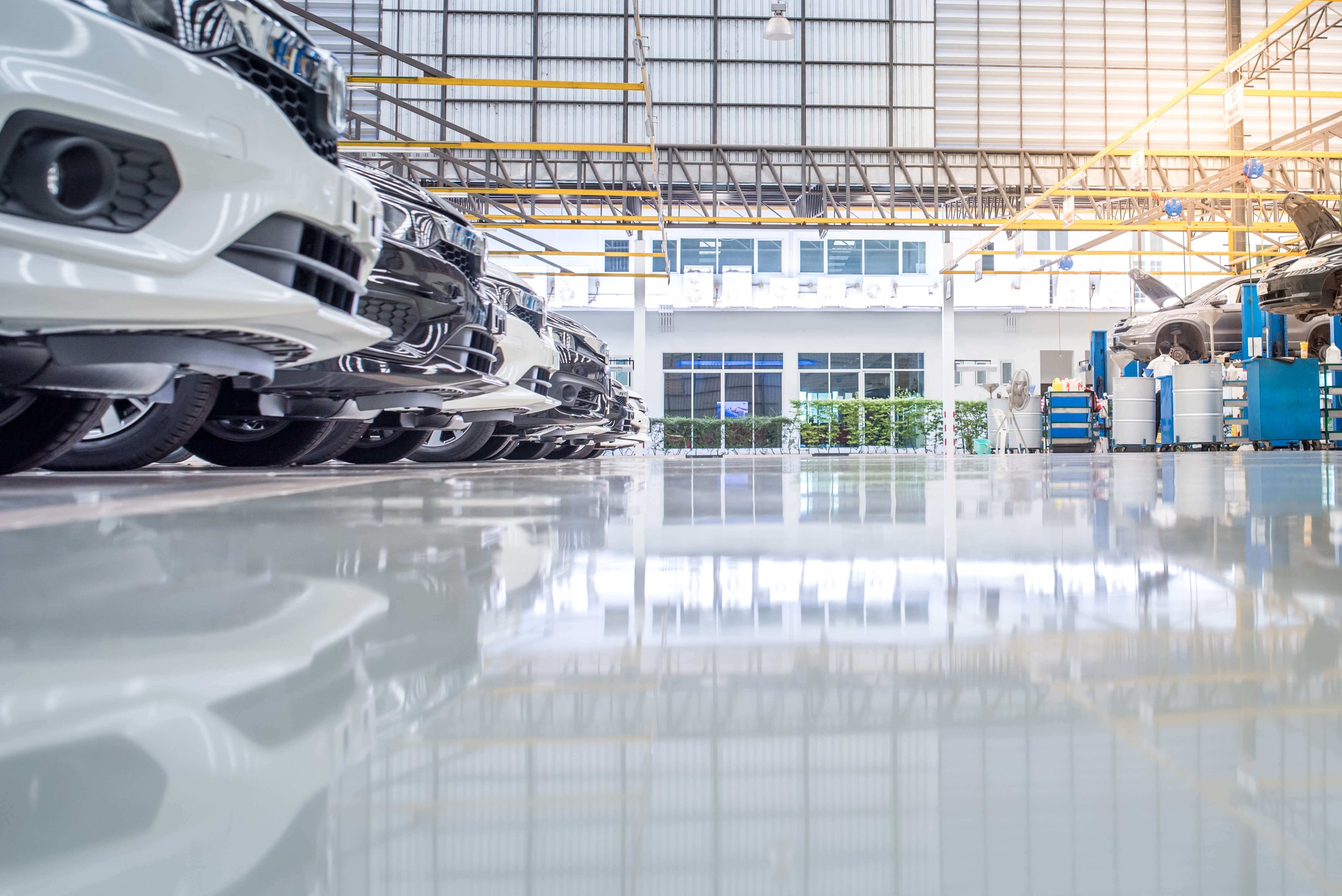 epoxy+car+dealership